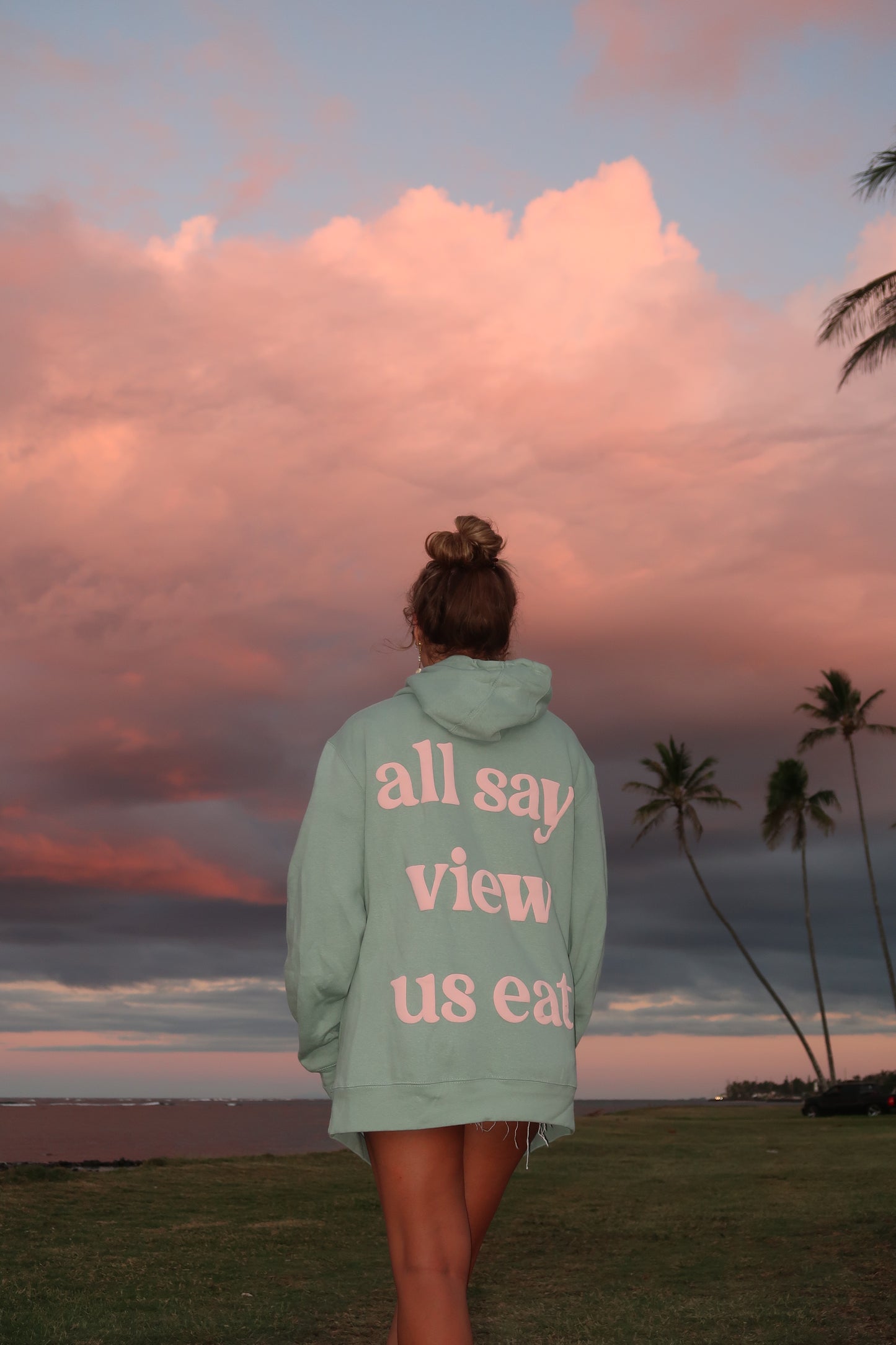 all say view us us eat oversized hoodie